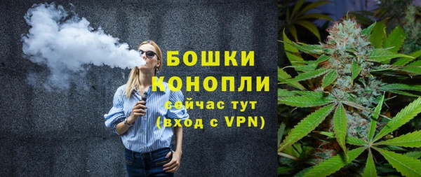 трава Алзамай