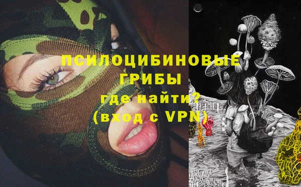 дживик Алексеевка