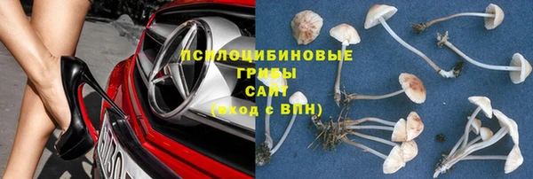 дживик Алексеевка