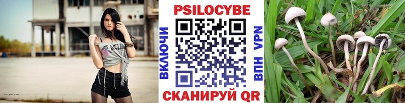 маркетплейс официальный сайт  Александровское  Галлюциногенные грибы прущие грибы  даркнет сайт 